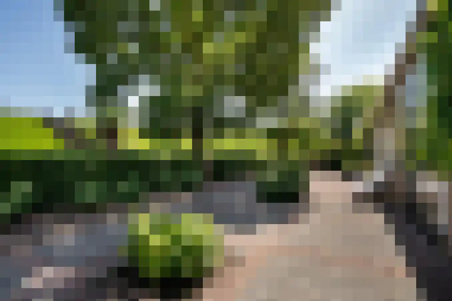 Diefdijk 7 Everdingen thumbnail 9