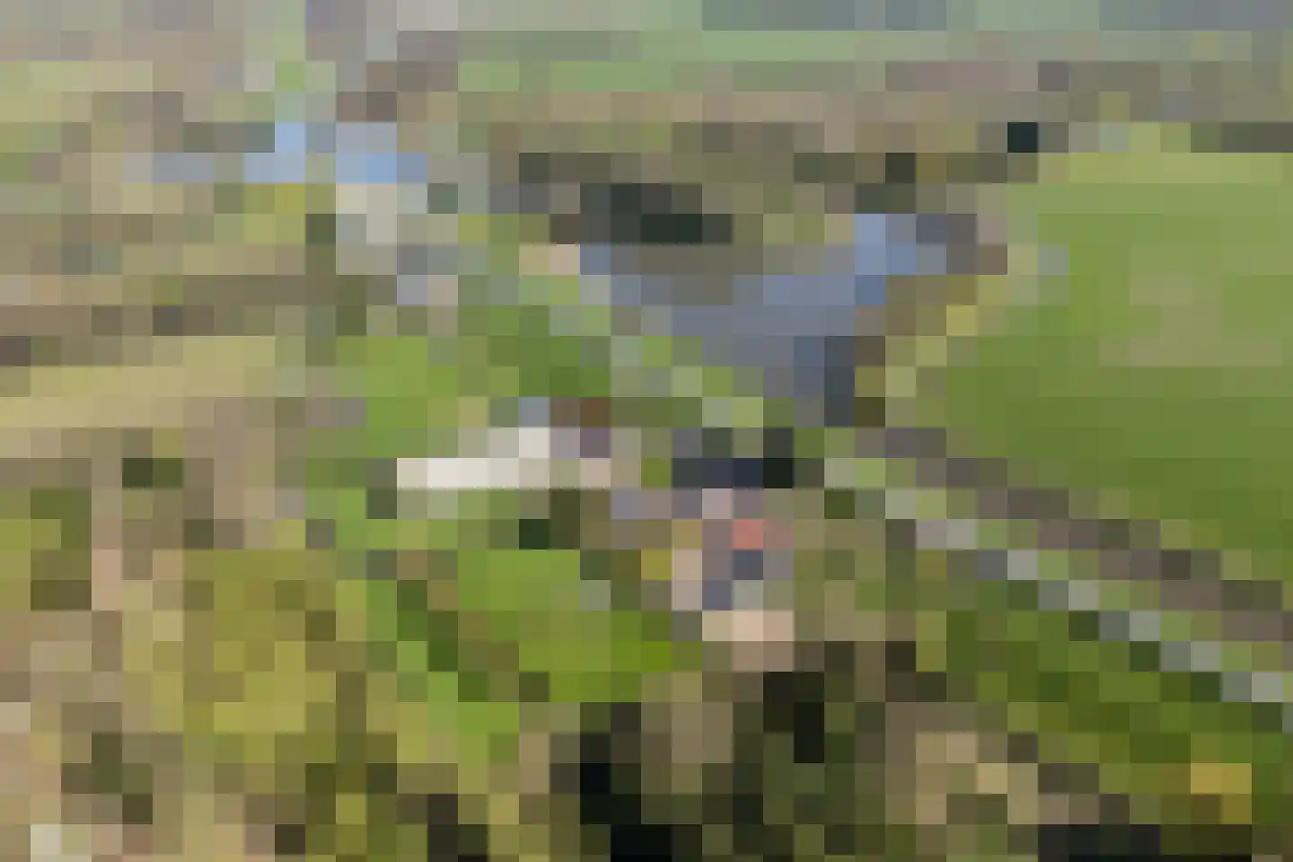 Diefdijk 7 Leerdam thumbnail 36