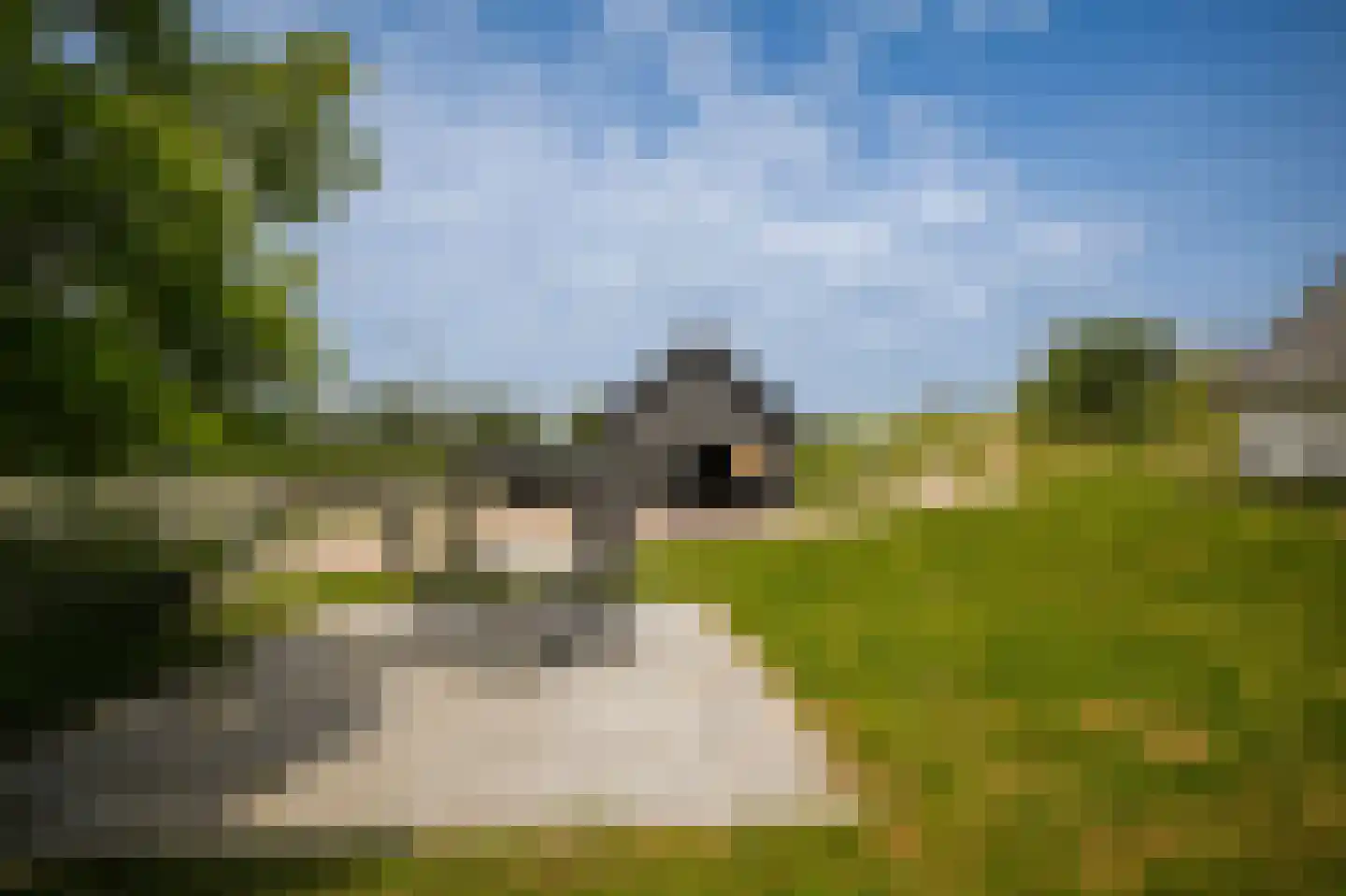 Diefdijk 8 Leerdam thumbnail 17