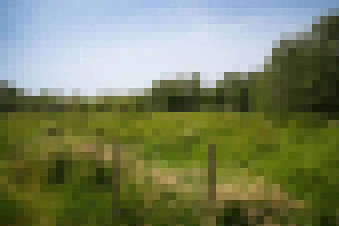 Diefdijk 8 Leerdam thumbnail 25