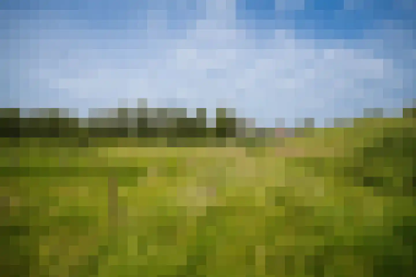 Diefdijk 8 Leerdam thumbnail 29