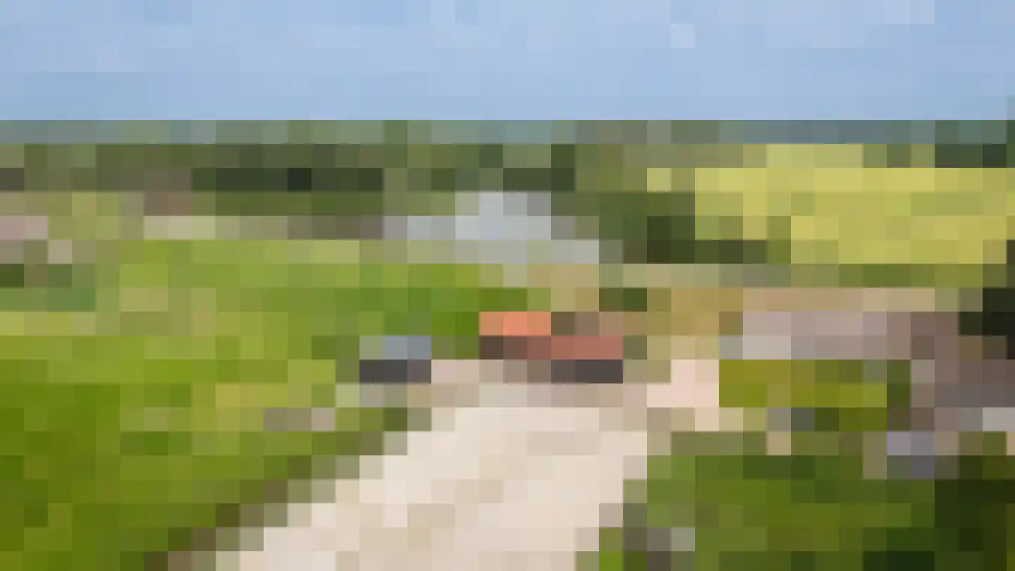 Diefdijk 8 Leerdam thumbnail 31