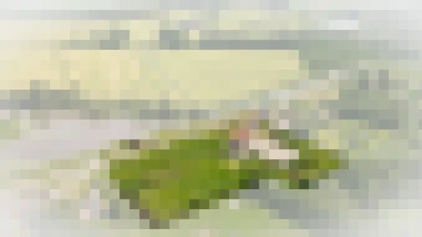 Diefdijk 8 Leerdam thumbnail 32