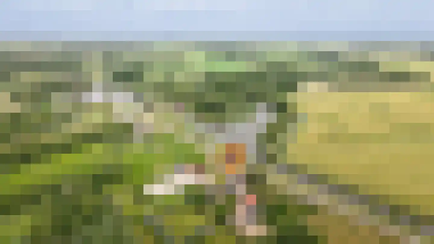 Diefdijk 8 Leerdam thumbnail 33