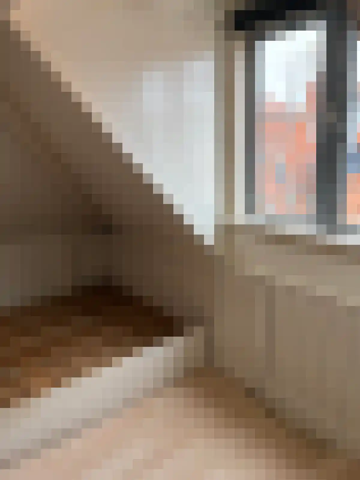 Diefsteeg 1 Leiden thumbnail 5