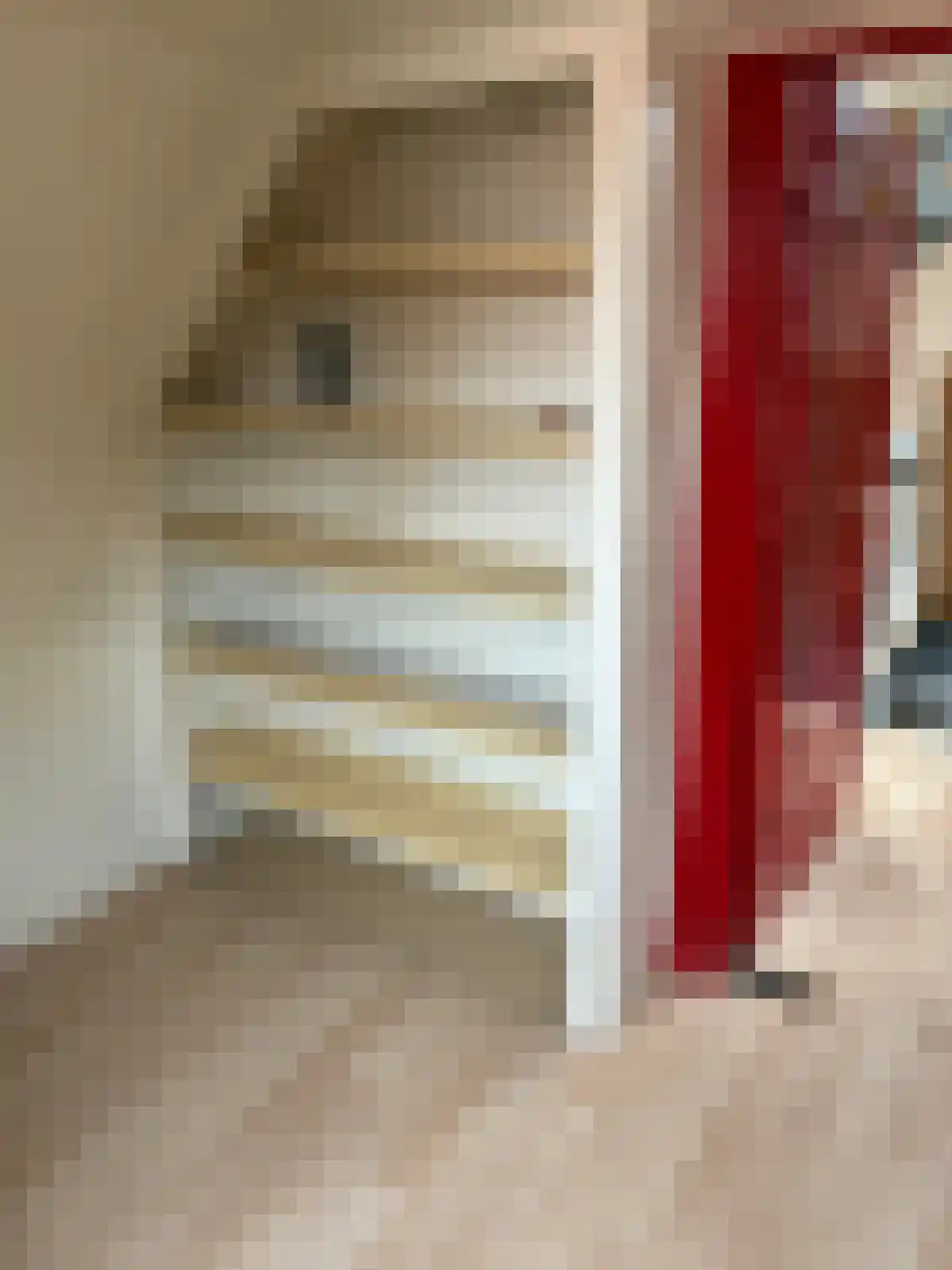 Diefsteeg 1 Leiden thumbnail 6