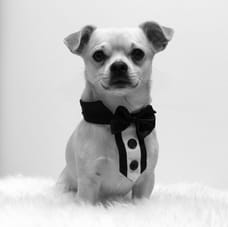 Photo of Diego Murgia