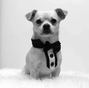 Photo of Diego Murgia