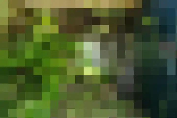 Diek 24 Den Hoorn thumbnail 11