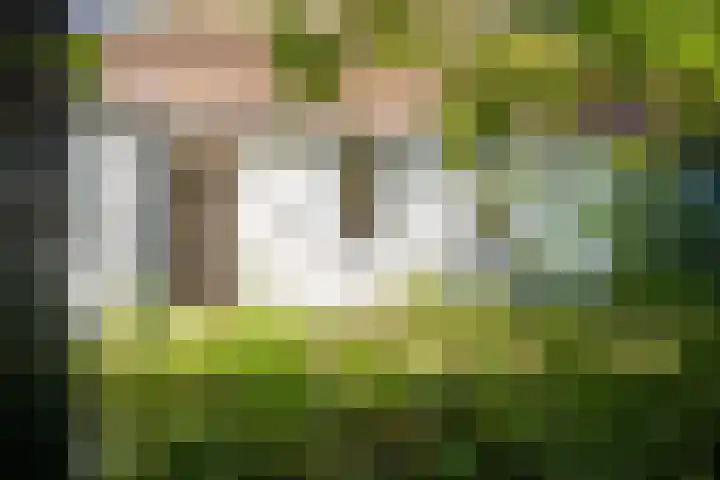 Diek 24 Den Hoorn thumbnail 12