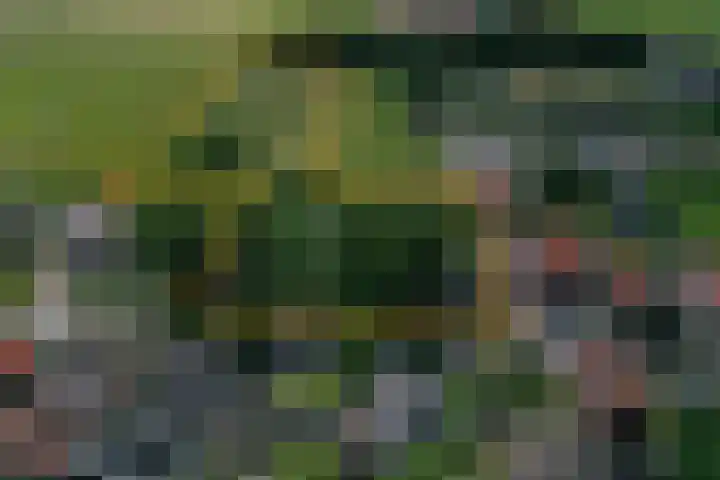 Diek 24 Den Hoorn thumbnail 19