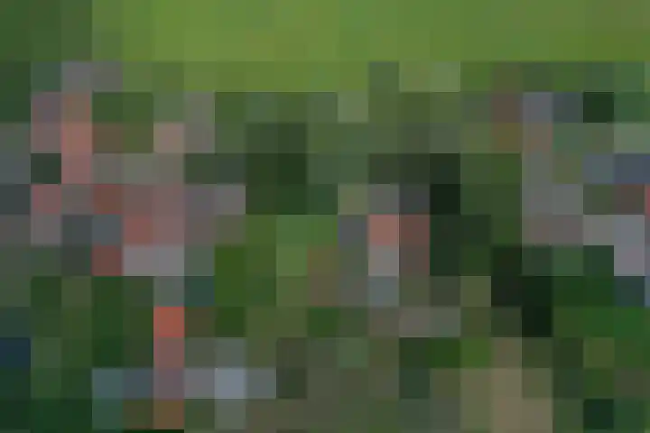 Diek 24 Den Hoorn thumbnail 20