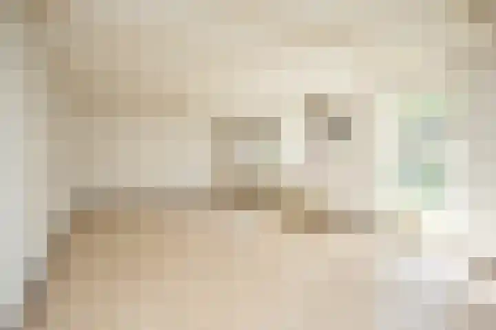 Diek 24 Den Hoorn thumbnail 8