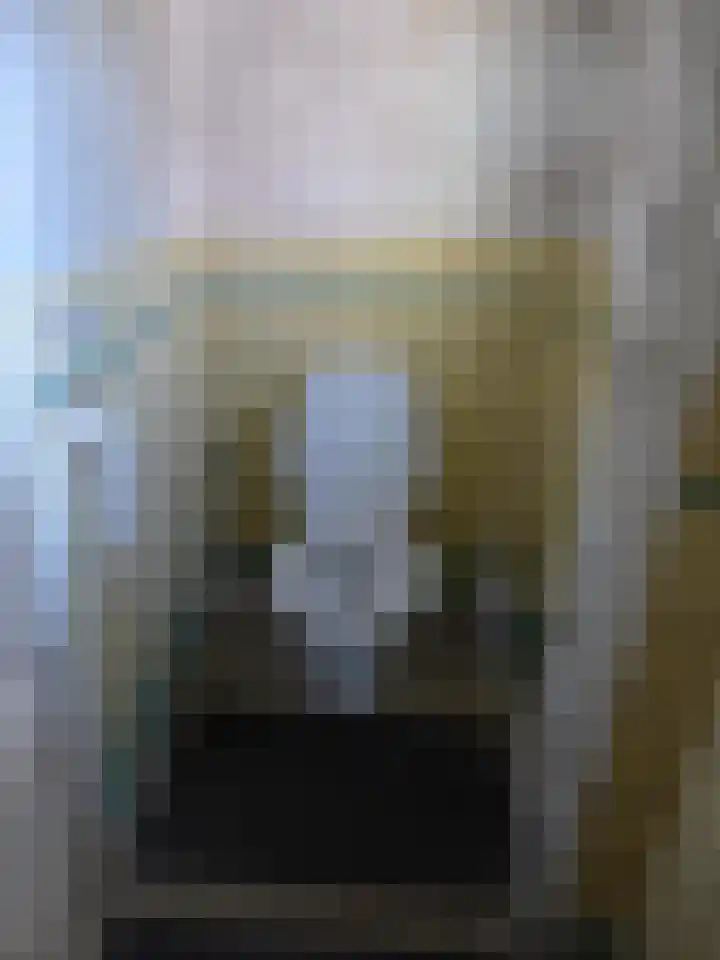 Diek 30 Den Hoorn thumbnail 10