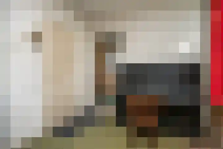 Diek 30 Den Hoorn thumbnail 12