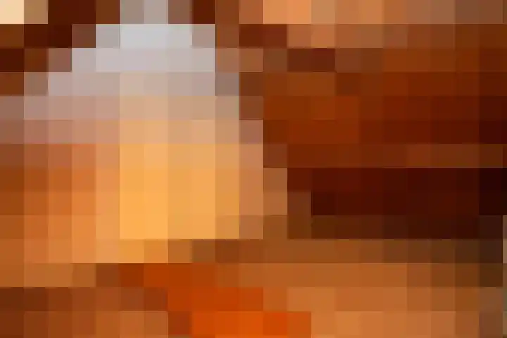Diek 30 Den Hoorn thumbnail 22