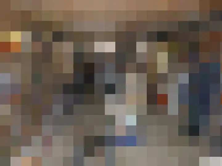 Diek 30 Den Hoorn thumbnail 25