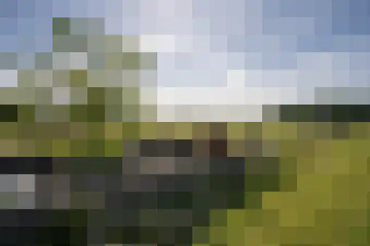 Diek 30 Den Hoorn thumbnail 27