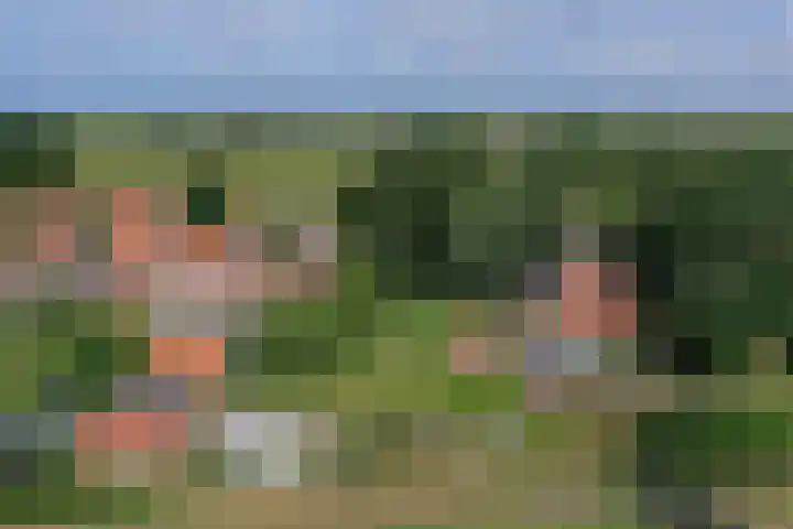 Diek 30 Den Hoorn thumbnail 29