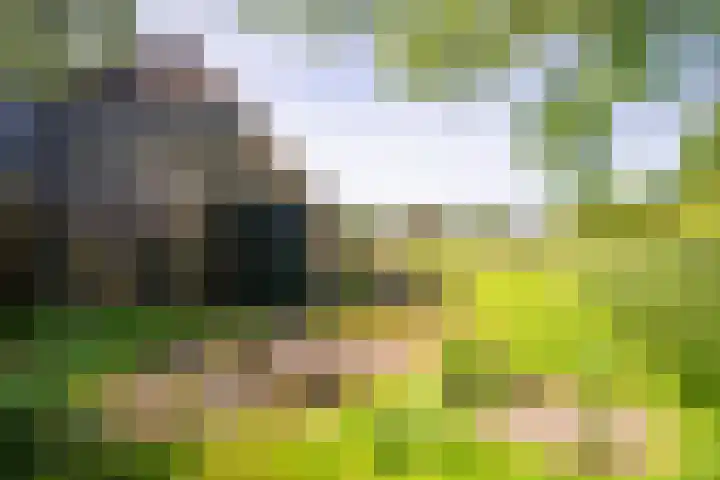 Diek 30 Den Hoorn thumbnail 4