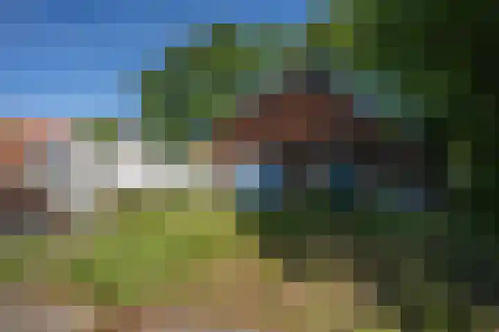 Diek 30 Den Hoorn thumbnail 6