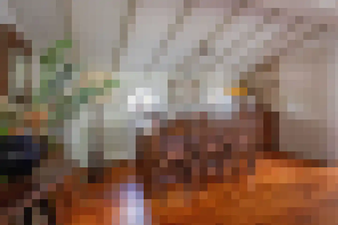 Diek 31 Den Hoorn thumbnail 15