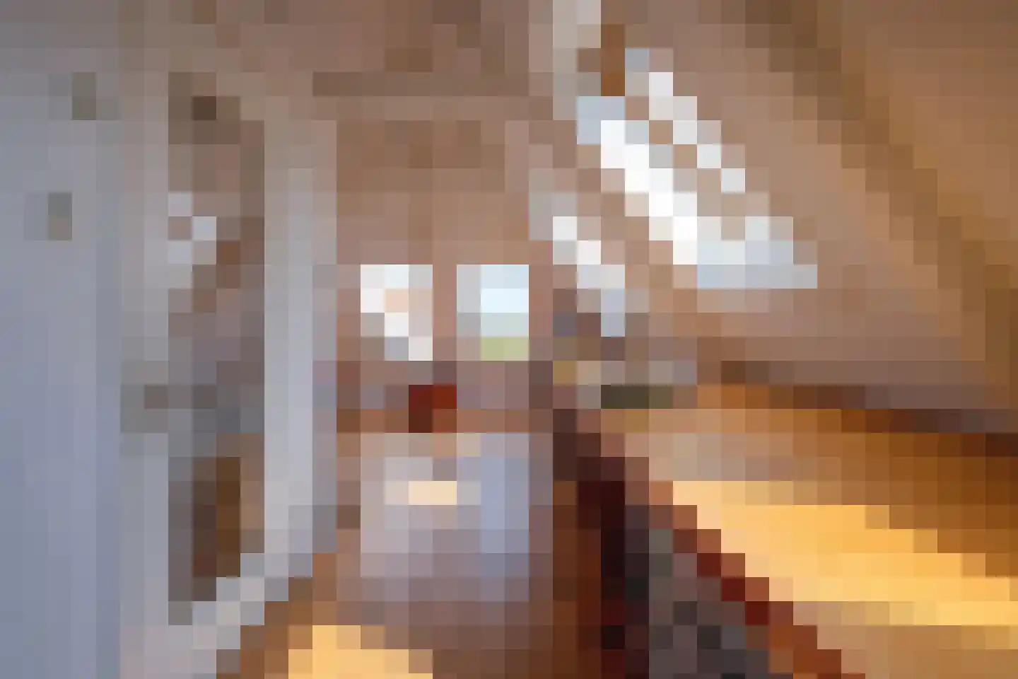 Diek 31 Den Hoorn thumbnail 26