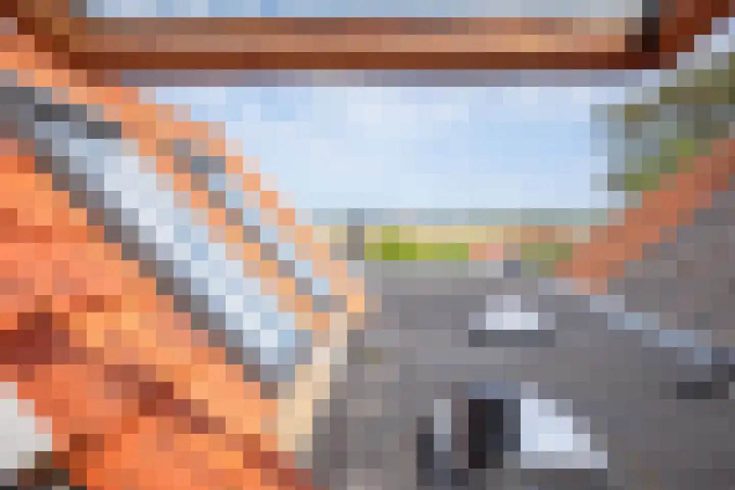 Diek 31 Den Hoorn thumbnail 27