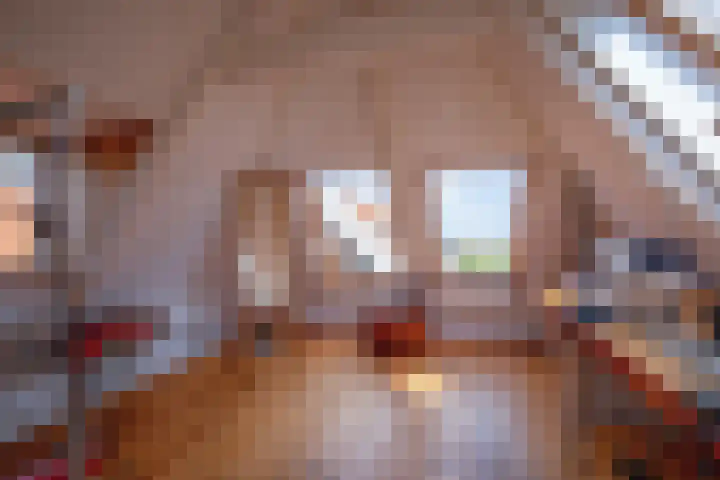 Diek 31 Den Hoorn thumbnail 28