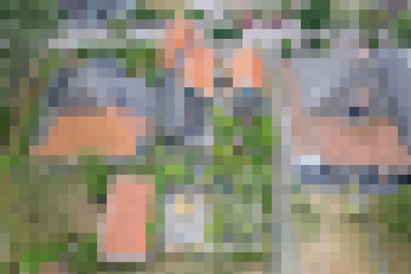 Diek 31 Den Hoorn thumbnail 31
