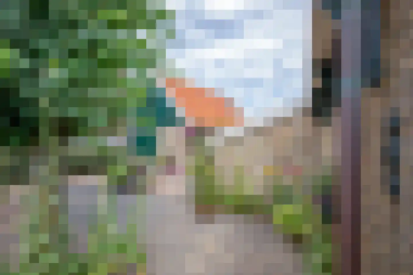 Diek 31 Den Hoorn thumbnail 32