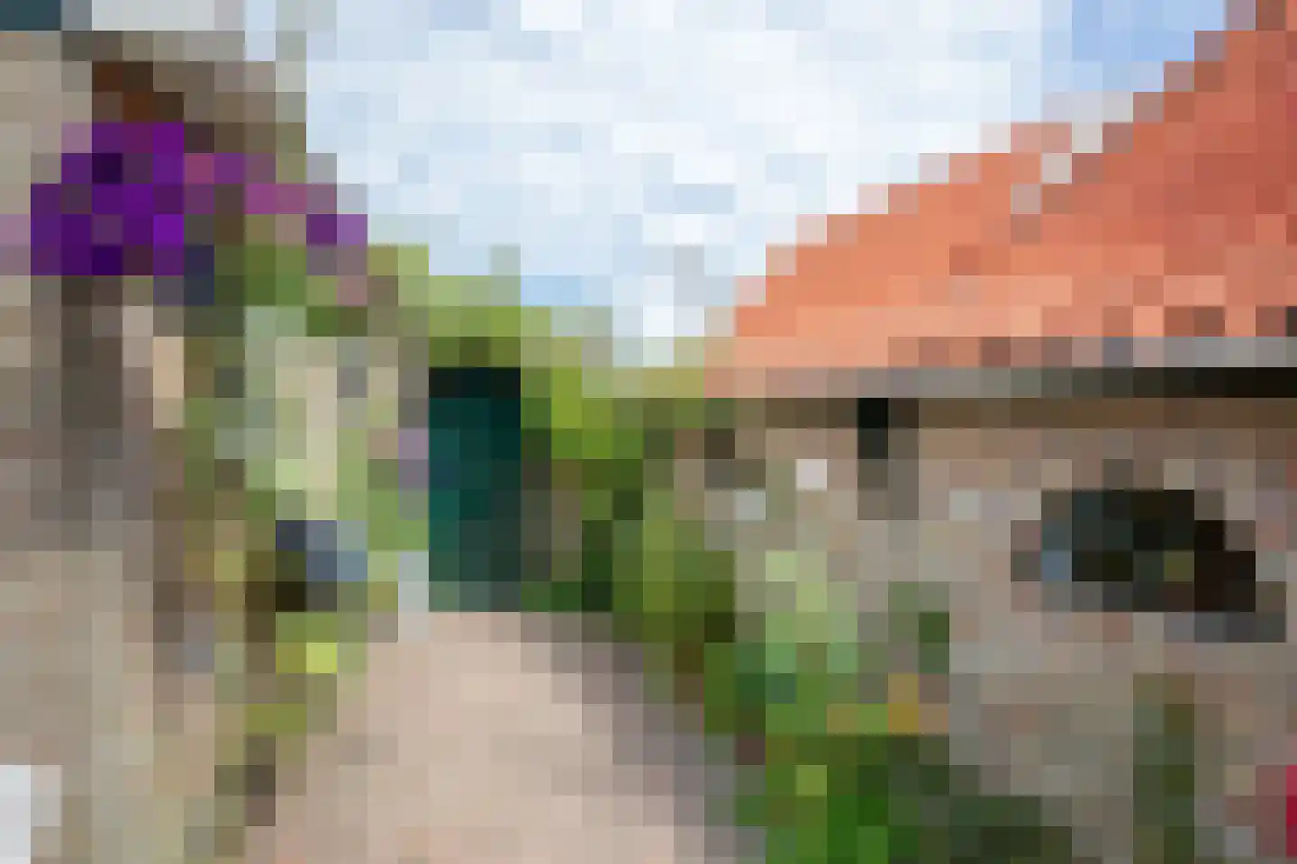 Diek 31 Den Hoorn thumbnail 40