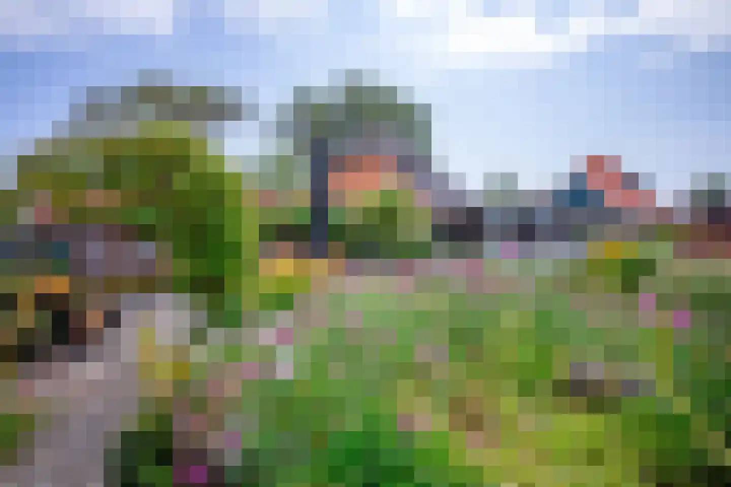 Diek 31 Den Hoorn thumbnail 45
