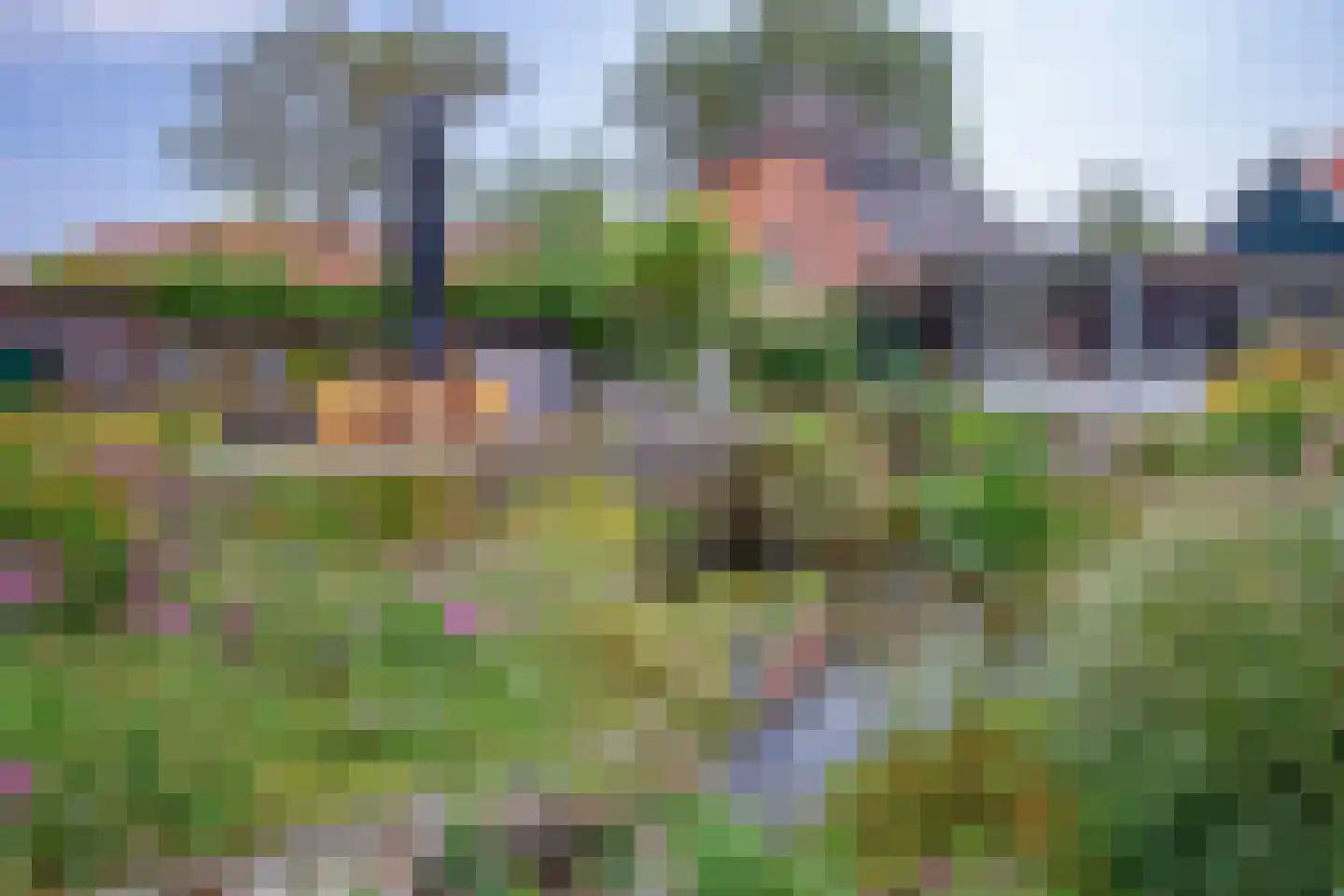 Diek 31 Den Hoorn thumbnail 46