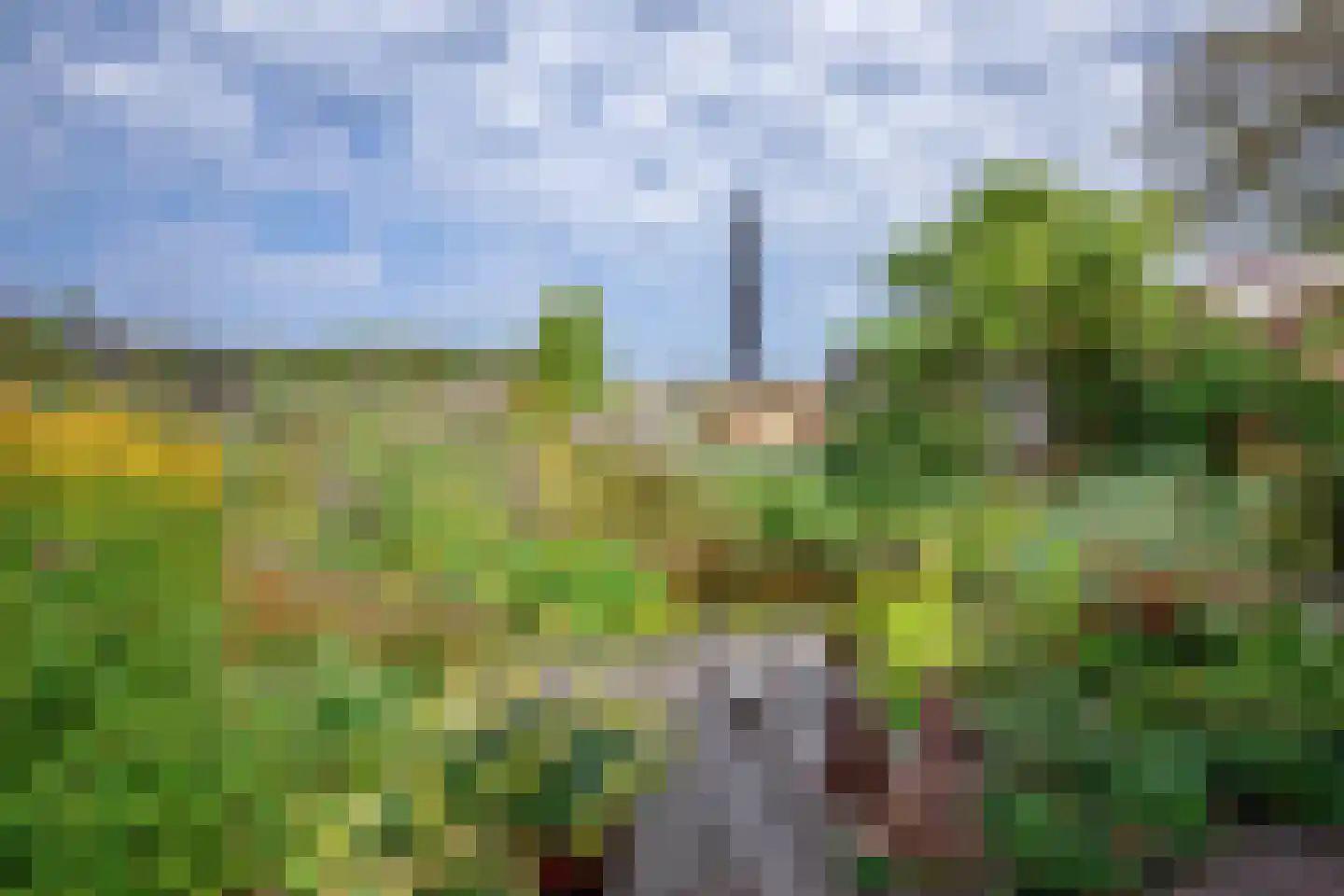 Diek 31 Den Hoorn thumbnail 50