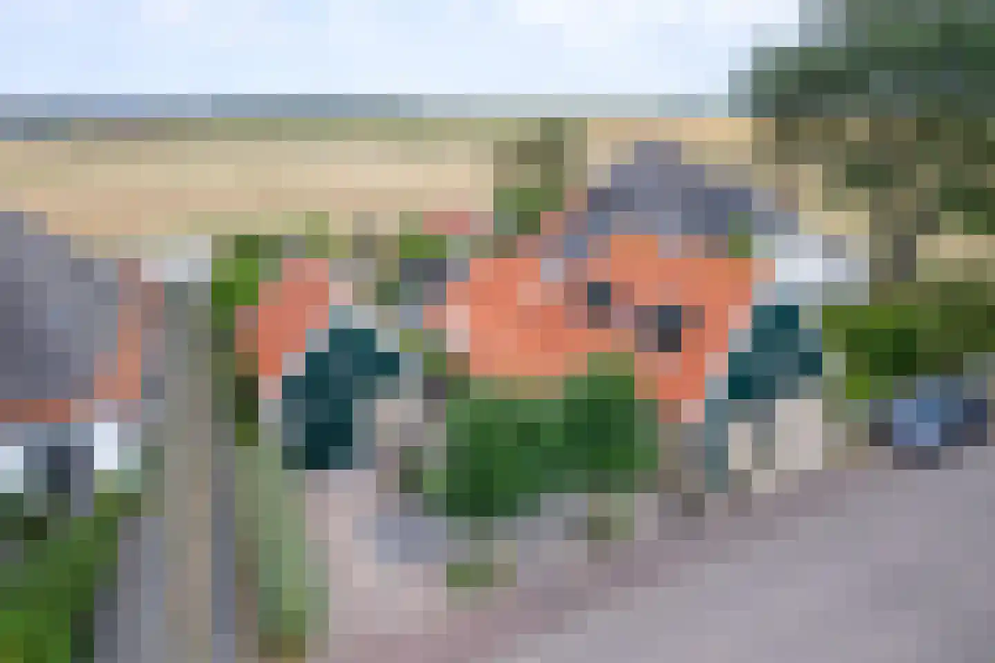 Diek 31 Den Hoorn thumbnail 52