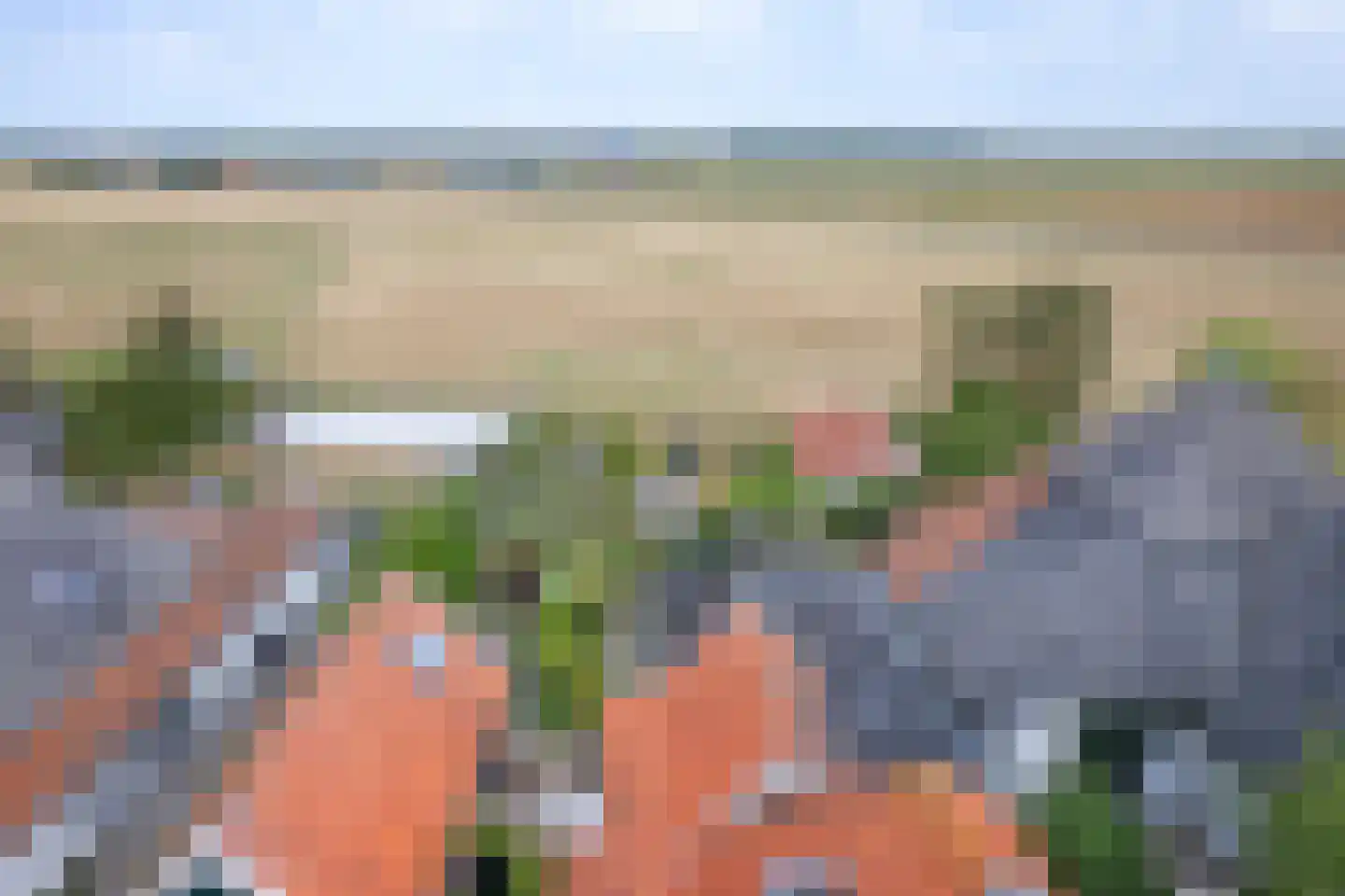 Diek 31 Den Hoorn thumbnail 54