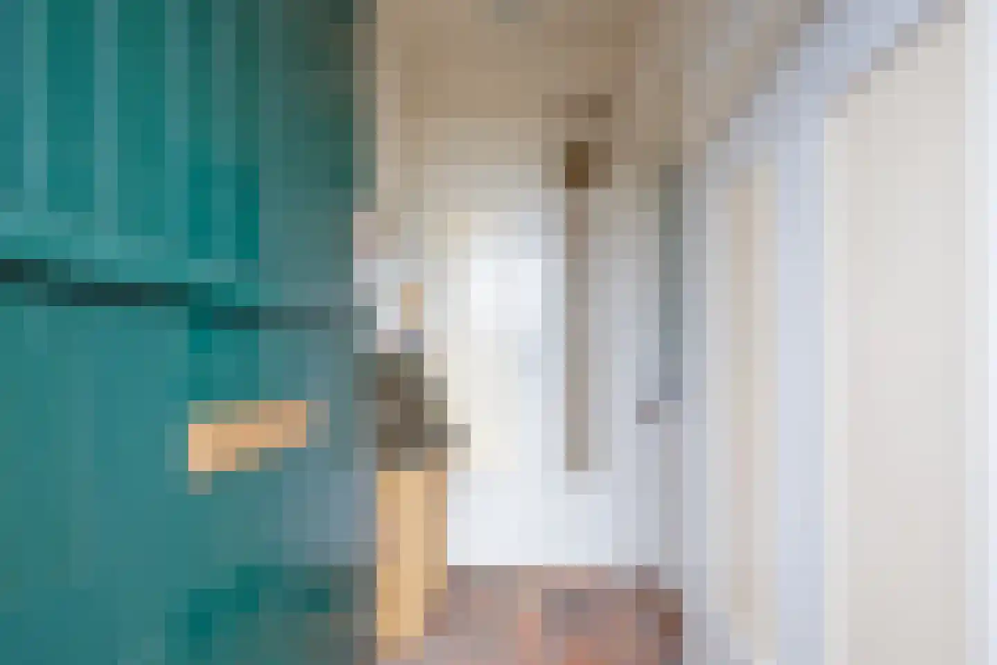 Diek 31 Den Hoorn thumbnail 8
