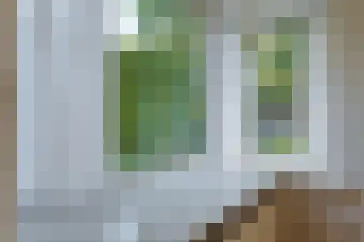 Diekeveenseweg 10 Westerbork thumbnail 17