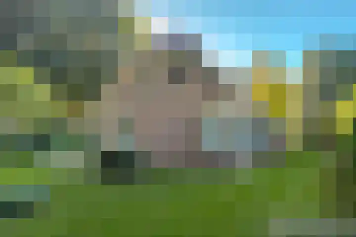 Diekeveenseweg 10 Westerbork thumbnail 43