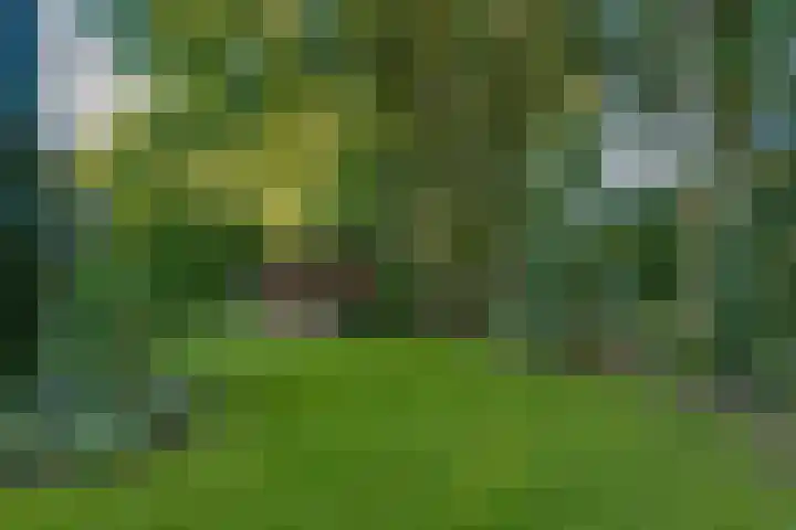 Diekeveenseweg 10 Westerbork thumbnail 45
