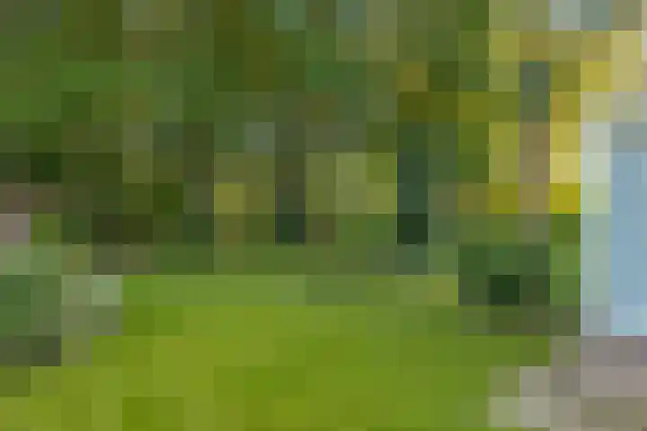 Diekeveenseweg 10 Westerbork thumbnail 46