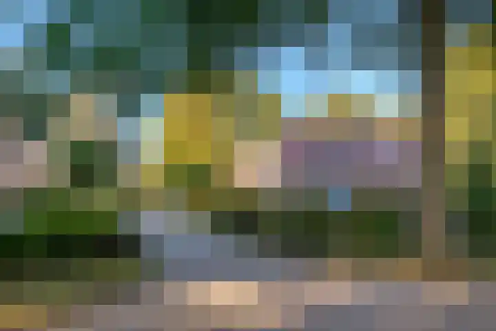 Diekeveenseweg 10 Westerbork thumbnail 7