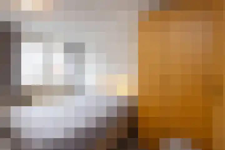 Diekgraven 15 Neede thumbnail 13