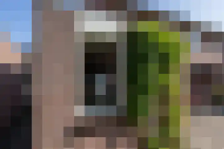 Diekgraven 15 Neede thumbnail 26
