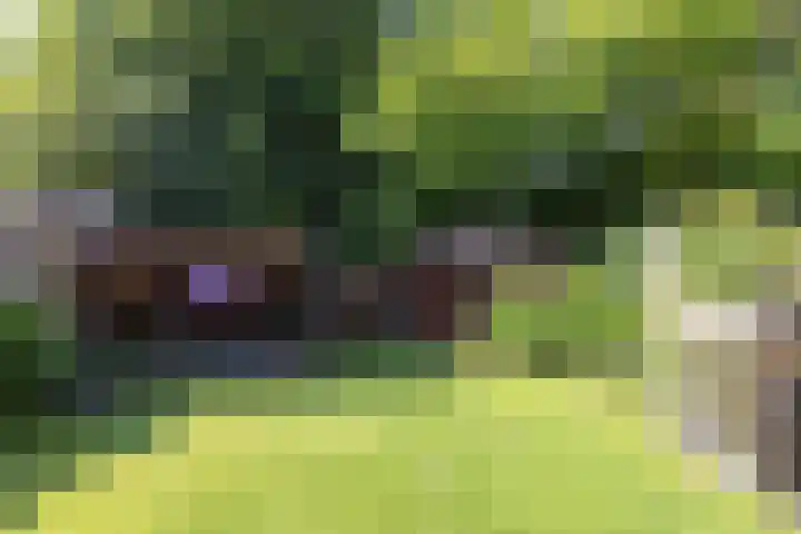 Diekgraven 15 Neede thumbnail 30