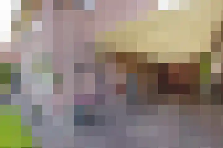 Diekgraven 15 Neede thumbnail 34
