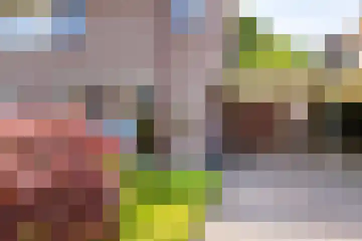 Diekgraven 15 Neede thumbnail 35