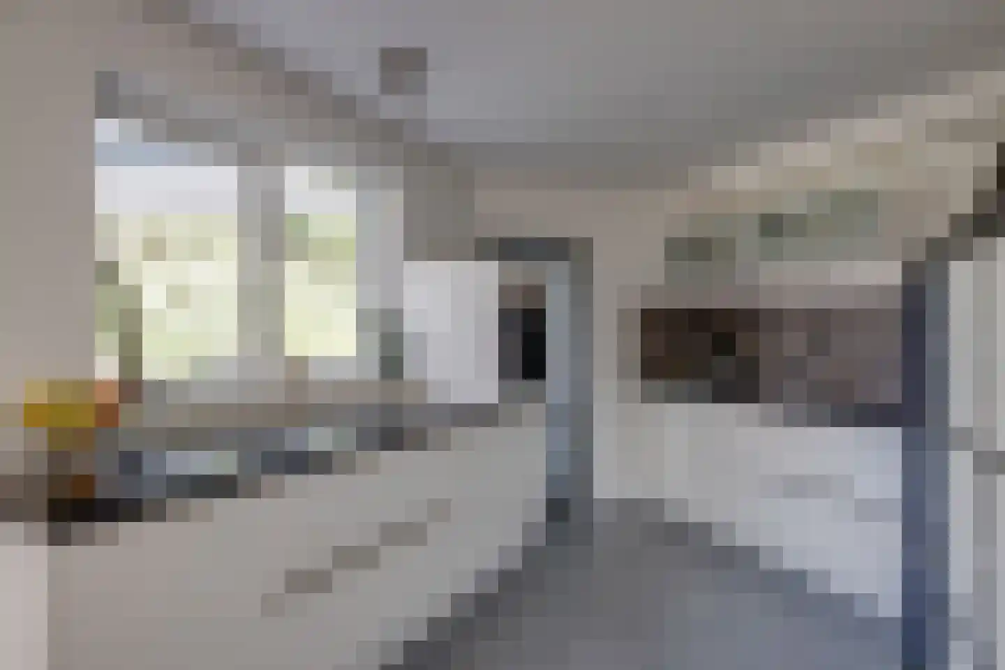 Diekgraven 2 Neede thumbnail 10
