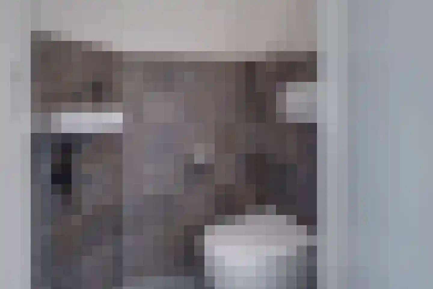 Diekgraven 2 Neede thumbnail 13